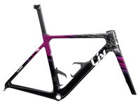 Liv EnviLiv Advanced SL Frameset