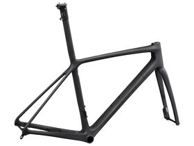 GIANT TCR Advanced SL Disc Frameset Raw Carbon