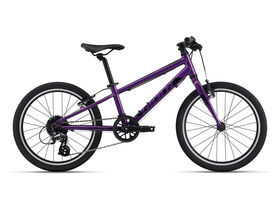 GIANT ARX 20 Purple
