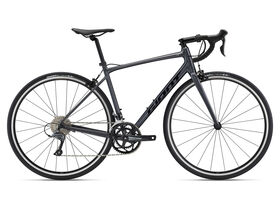 GIANT Contend 2