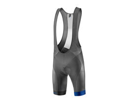 GIANT Elevate LTD Bib Short