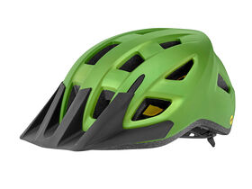 GIANT Path ARX MIPS Matte Green S-M (49-57cm)