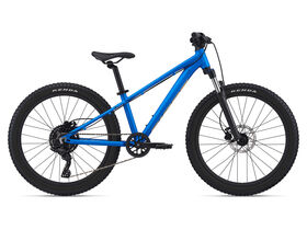 GIANT STP 24