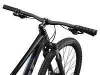 GIANT Talon 3 Panther click to zoom image