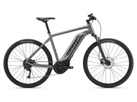 GIANT Roam E+