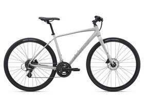GIANT Escape Disc 2 Concrete