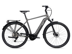 GIANT DailyTour E+ 2 Dash D GTS Space Grey