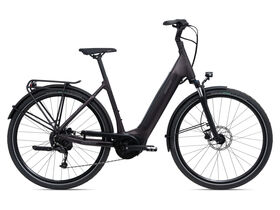 GIANT DailyTour E+ 3 Dash LDS Rosewood