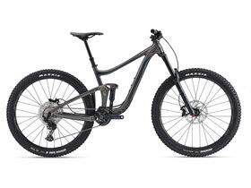 GIANT Reign 29