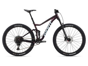 GIANT Stance 29 1