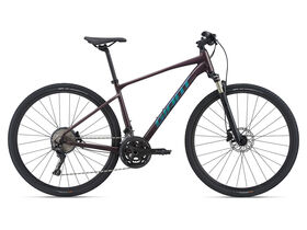 GIANT Roam 0 Disc Rosewood