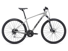 GIANT Roam 3 Disc Concrete