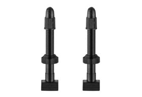 GIANT Tubeless Valve Stems (38mm)