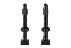 GIANT Tubeless Valve Stems (38mm)